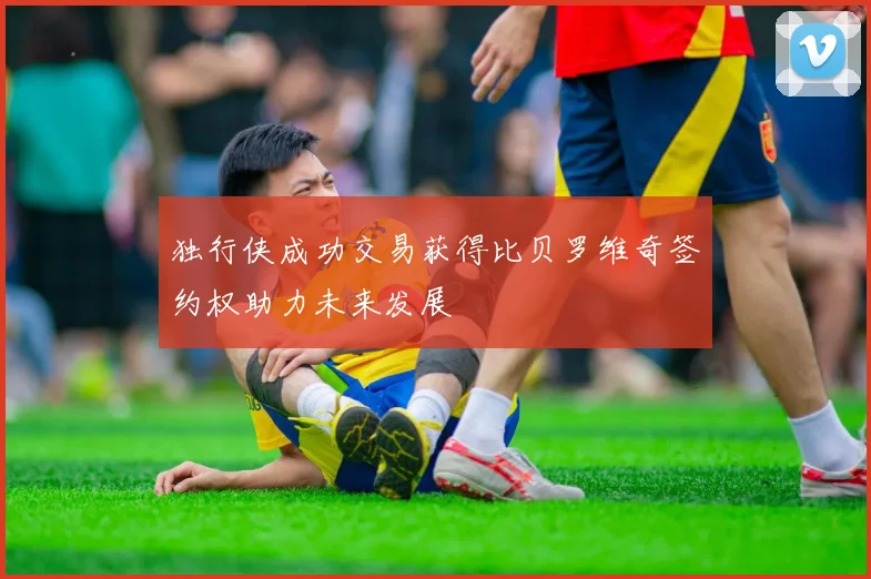 独行侠成功交易获得比贝罗维奇签约权助力未来发展